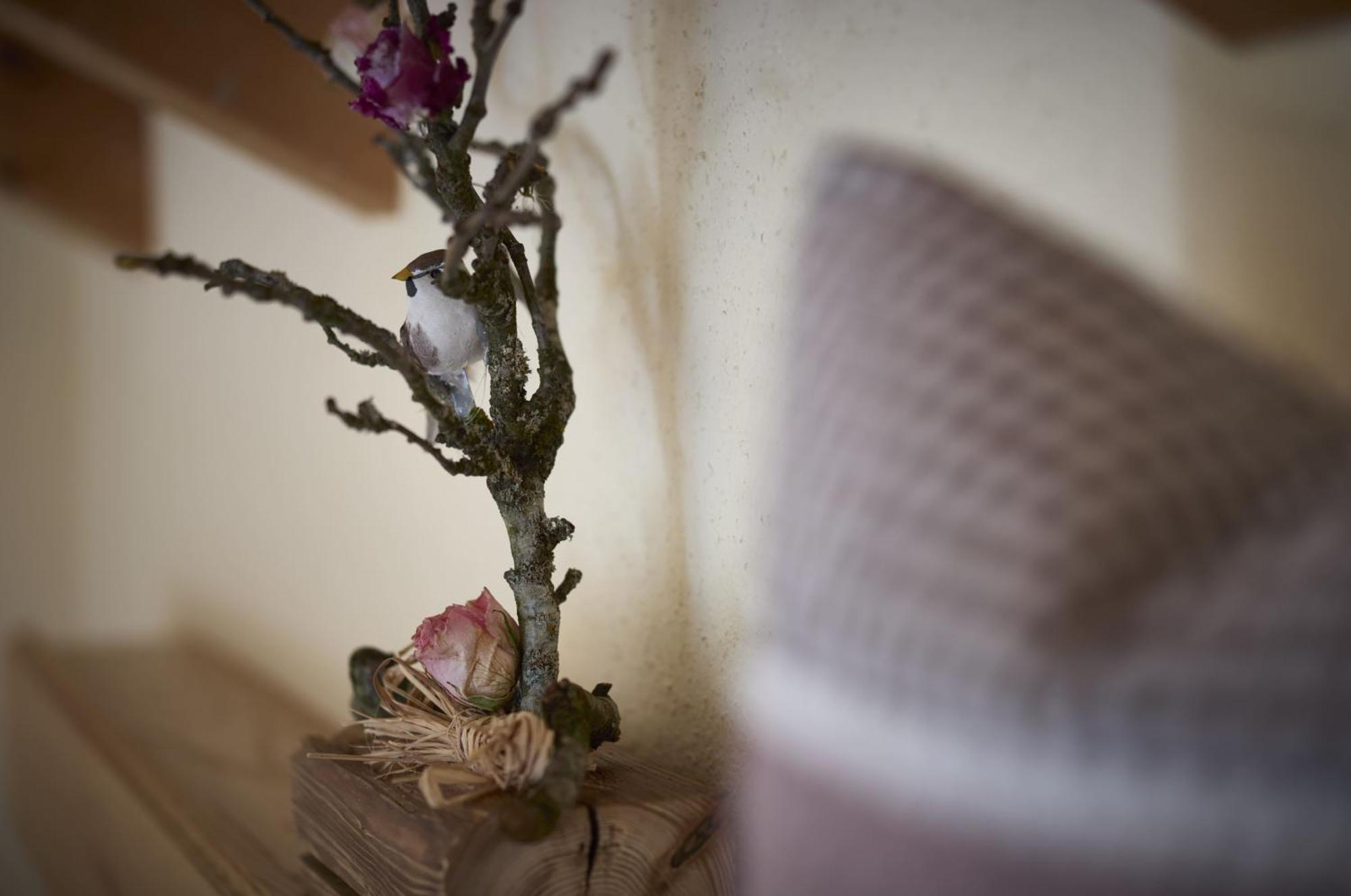 Haus Wiesengrund Frauenau Eksteriør bilde
